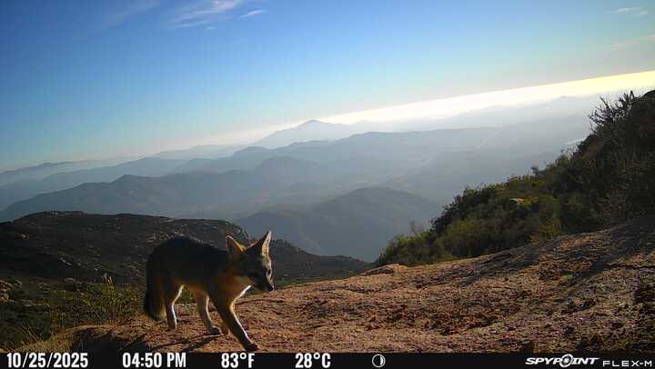 river_rob's tweet photo. Thinking about a end of year tax deductible donation? Make a gift to help save open space for wildlife and clean up the SD River! Today, the next $5k will be matched! https://t.co/FKV6vBQtF1 https://t.co/Mxd3SwmLC0