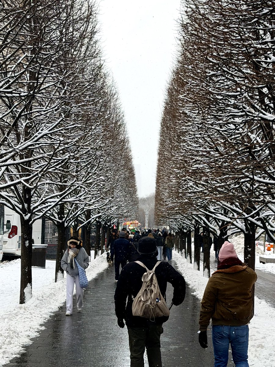 Dr J Rould tweet media