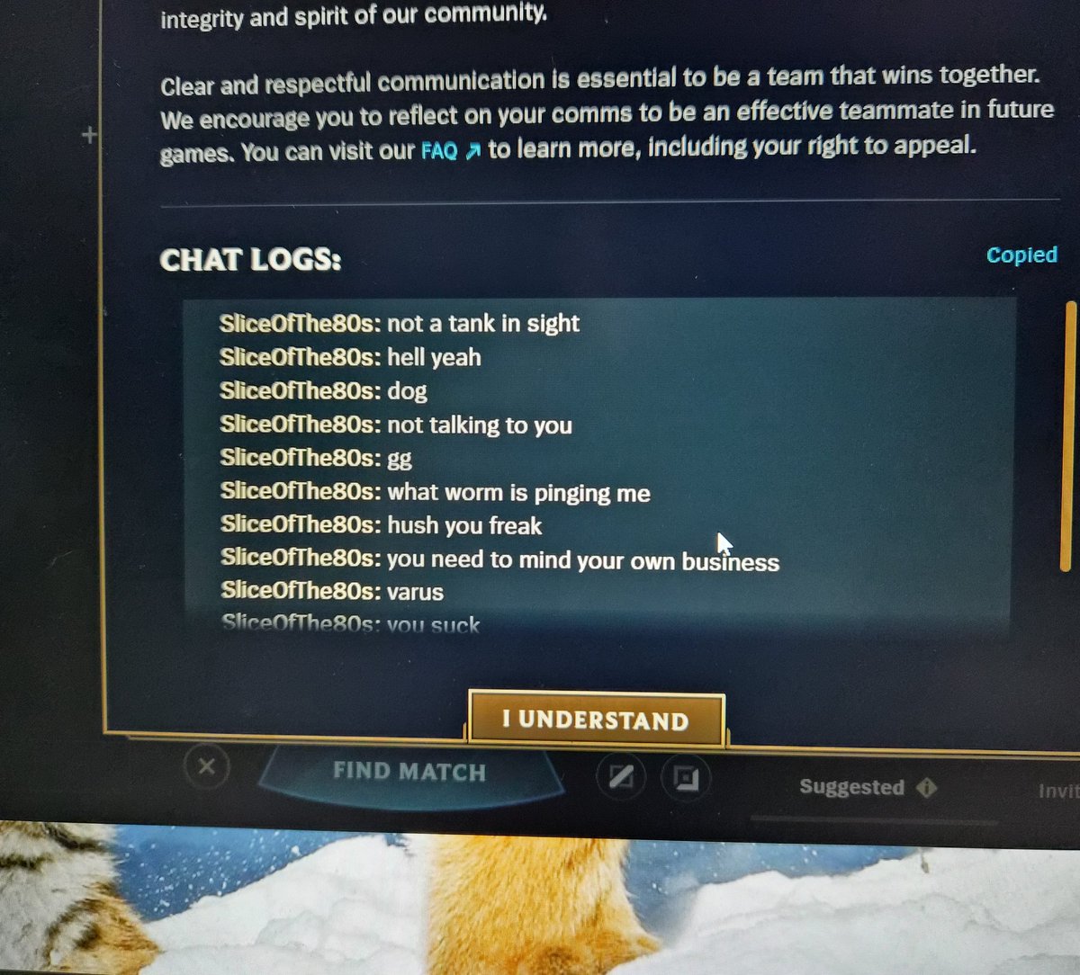 SupaTurtle tweet media