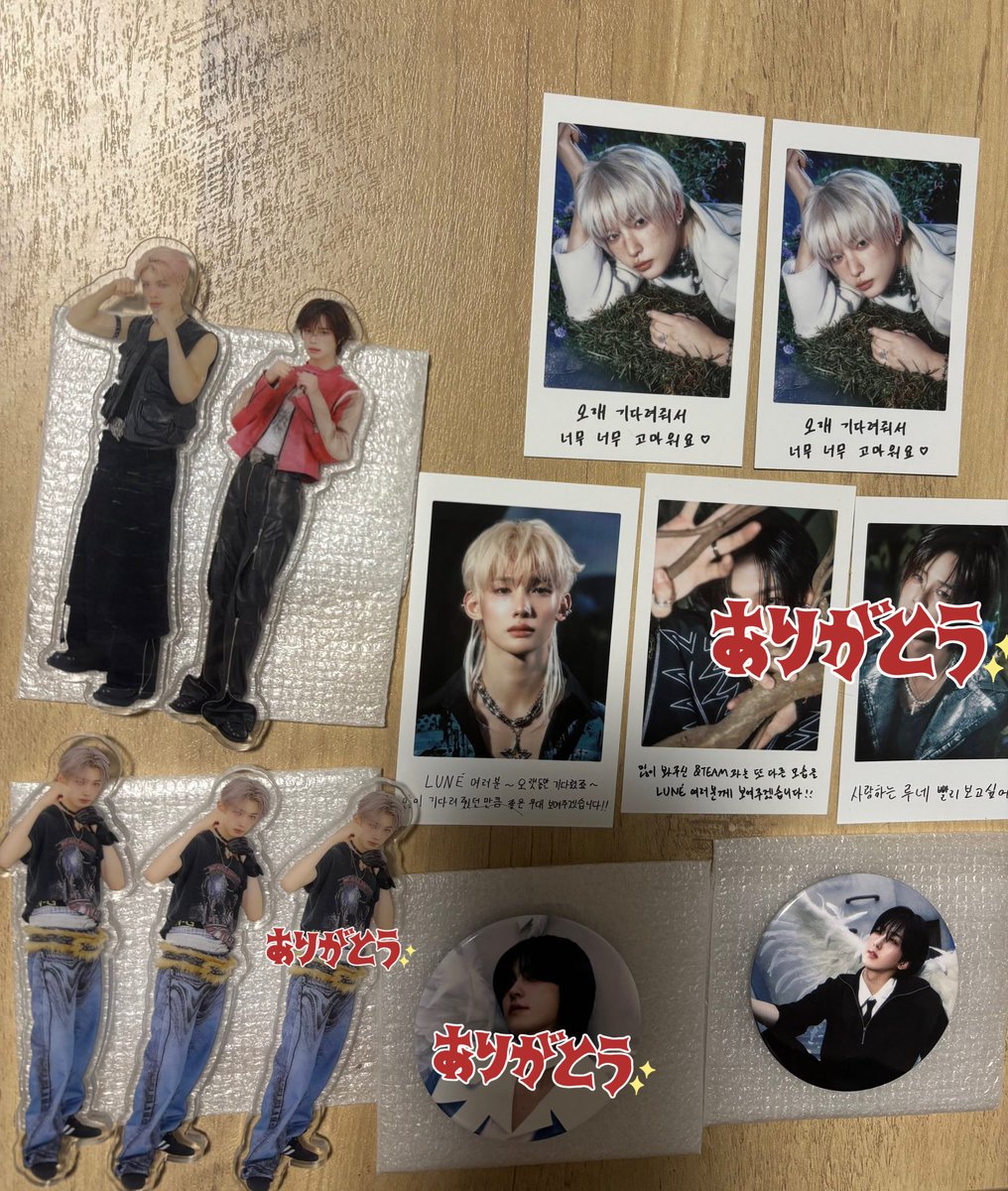 kinakomothi@しっぽ tweet media