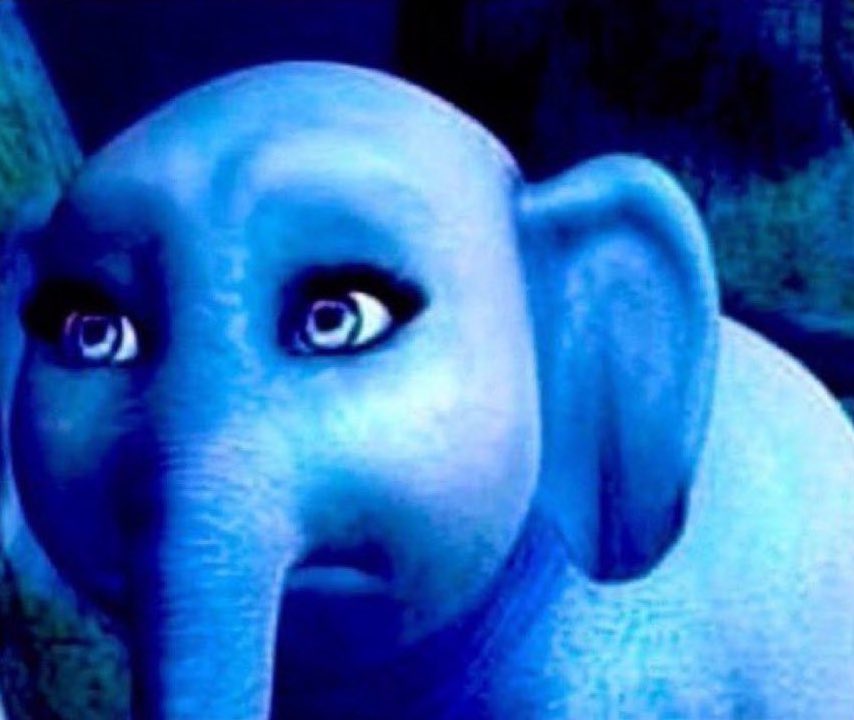 what becomes of the mirror boy who wants to know the outside world but cannot begin?