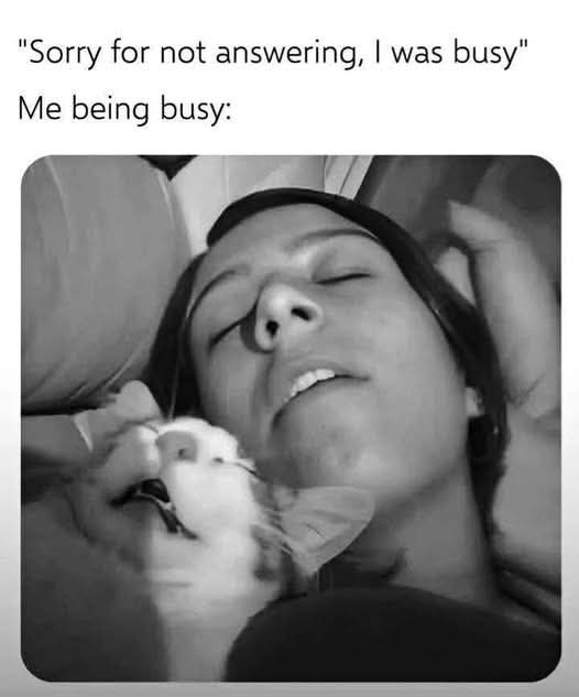 itsrosesm's tweet image. Sooo busy 😀