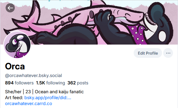 Orca tweet media