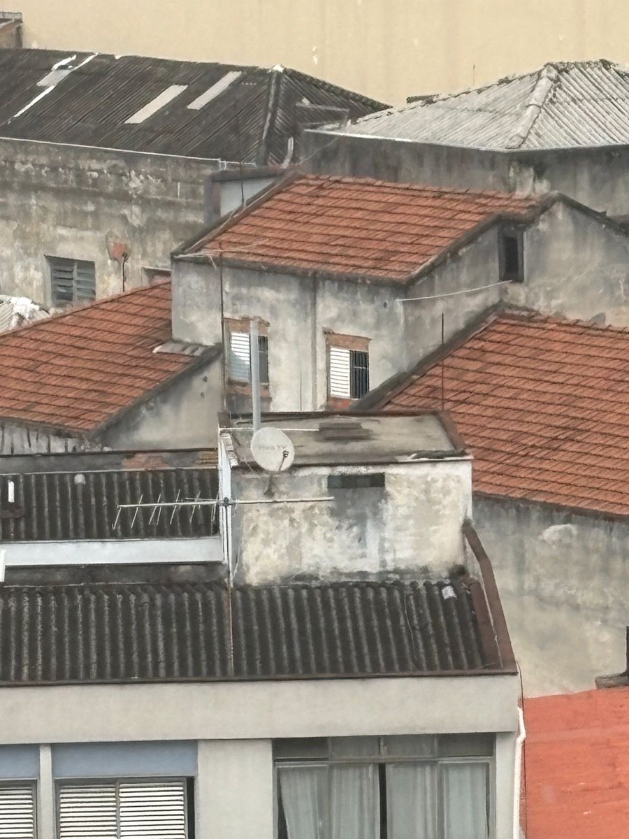 Tava olhando pela janela da cozinha e vi uma casinha envergonhada