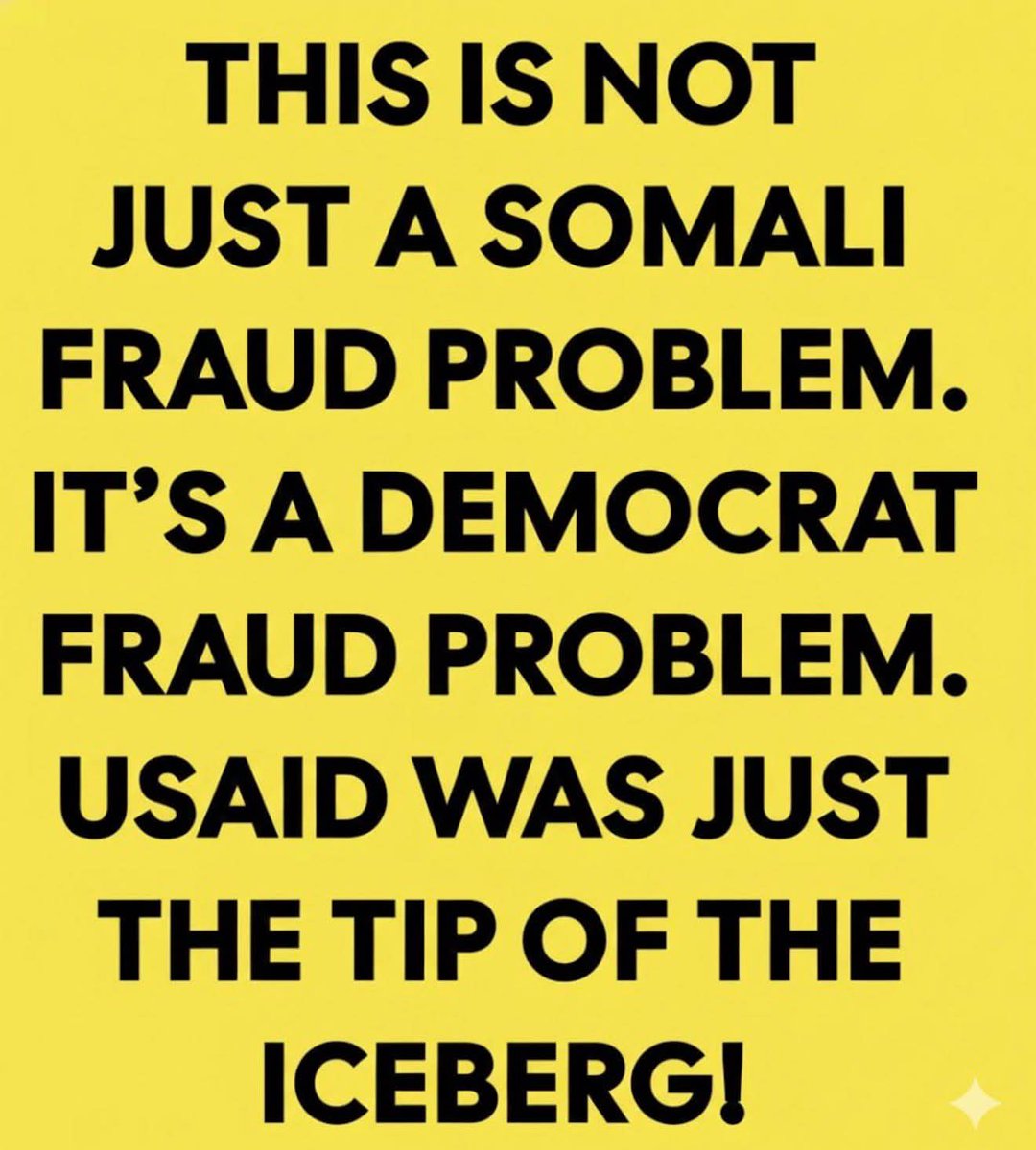 Sassafrass_84's tweet image. Don't just blame the Somalians.. Blame communist Democrats. They imported these people.