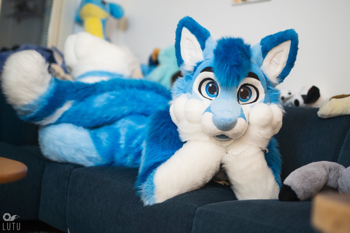 Going home again tomorrow from my family's place, I'm tired but excited to return and make lots of art from my warm office chair! ☕

📸 • <a href="/Lutufox/">Lutu 💙💛 🔜 NFC</a>
🧵 • <a href="/WildDogWorks/">WildDogWorks.com on 🦋</a>