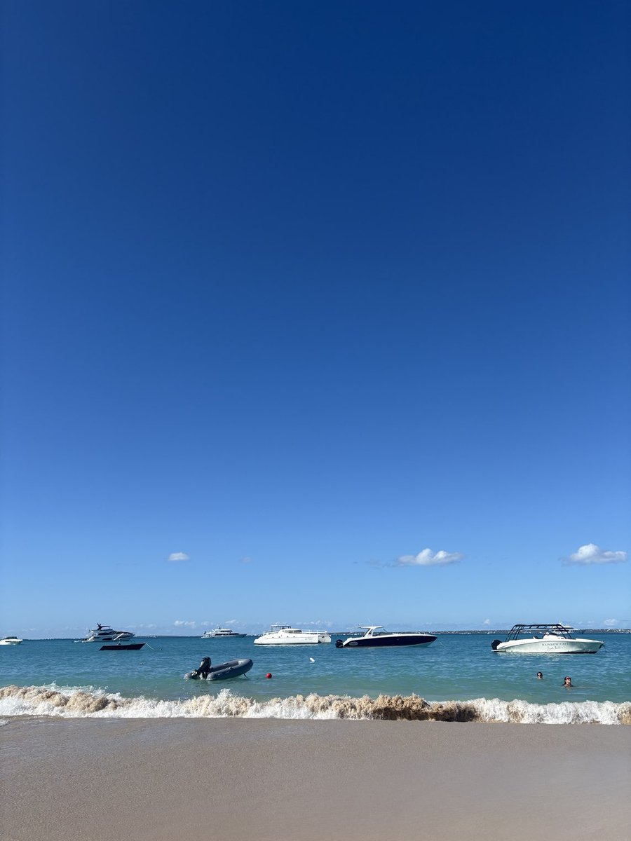 Dave Rothenberg tweet media