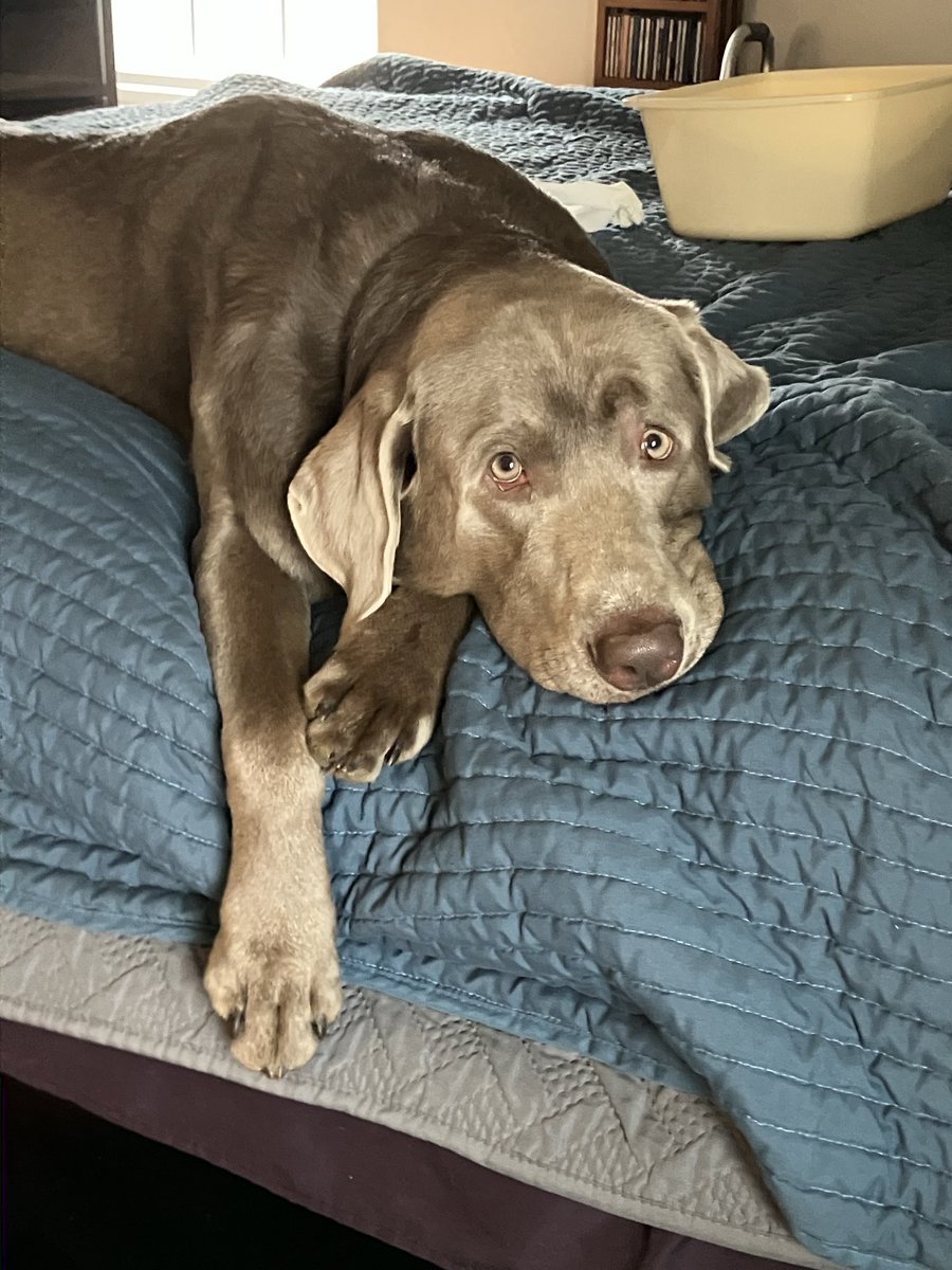 cornerworker's tweet image. Zync, just hanging with my Mom.