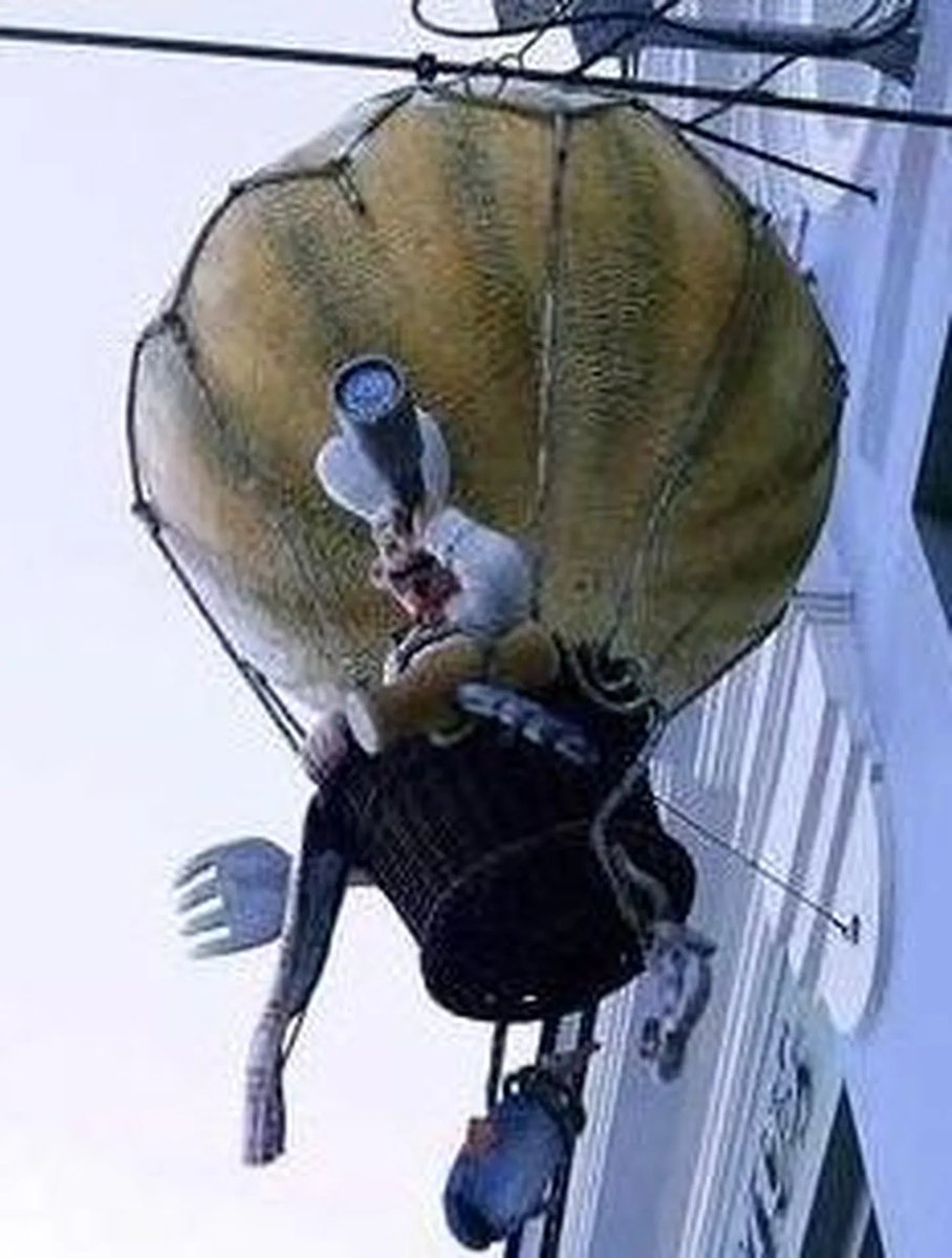 ma nägin unes et viru mäki asemel oli mingi gigantne meelelahutuskeskus mingite suurte 3d elukatega selle ees aga siis tuli lampi meelde et see eksisteeris ja selle koha nimi oli kolumbus krisostomus