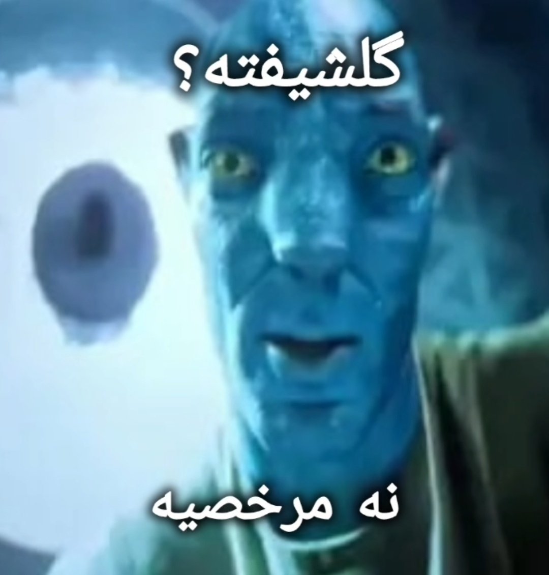 هودیُ‌فیل tweet media