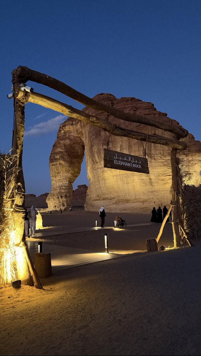 هياء سعد☕️ tweet media