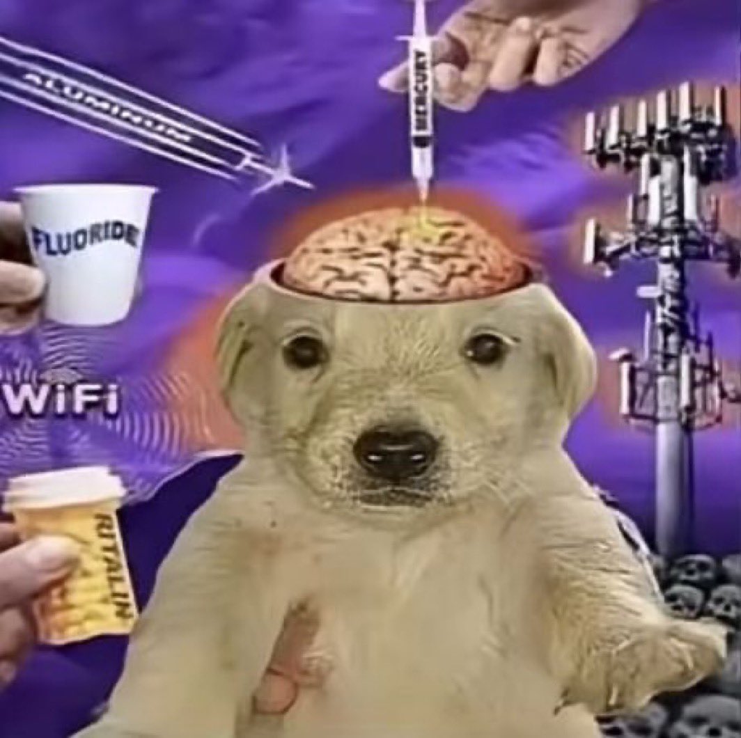 drowwpoison's tweet image. how it feels to be playing 5 different games at the same time