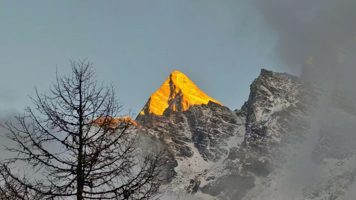 Yafeng(Jason) Deng tweet media