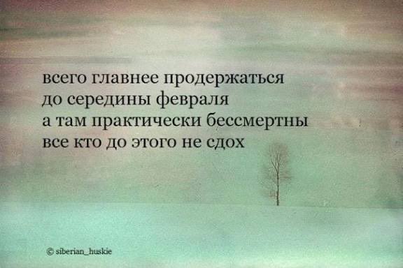 blockinhead tweet media