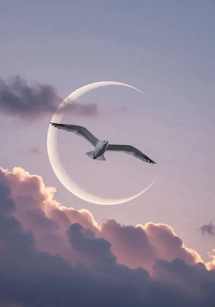 #الإنسان كالطير عندما ..
يأمن من يجالسه يغرّد بأجمل الألحان،
     وإذا فقد الأمان يقتله الصمت.