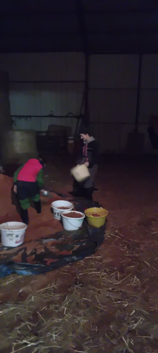 agric15's tweet photo. Si vous saviez comme j apprécie ces moments avec mes filles
Elles viennent m aider a m occuper de mes animaux elles savent deja ce qu'il faut faire.
Cest tellement ressourçant https://t.co/HmzR9uJyLf