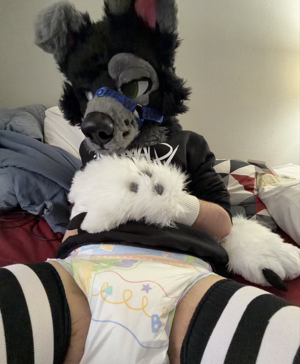 Oreo Collie tweet media