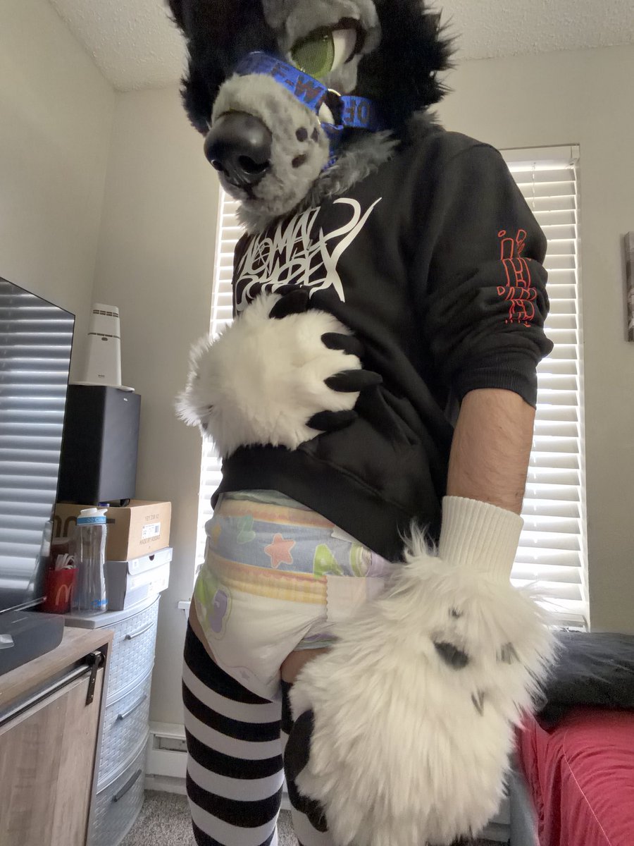 Oreo Collie tweet media