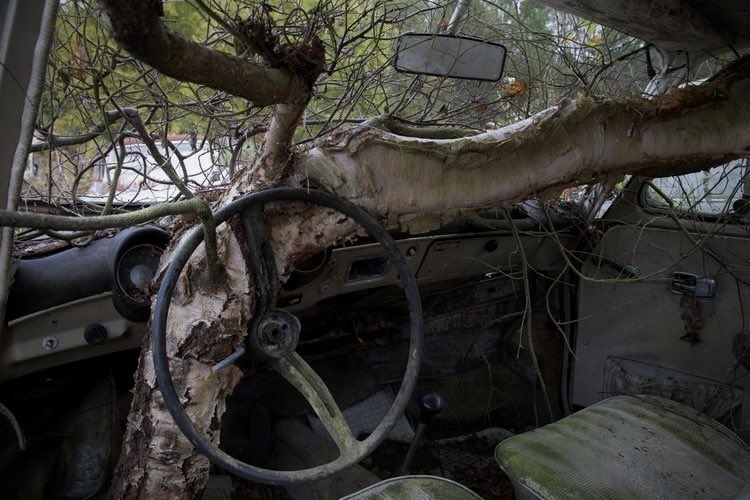 uhicr's tweet image. 