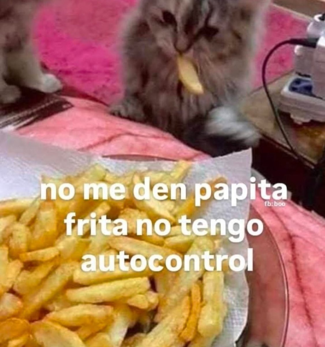 piña sin pizza (@skereunpesado) on Twitter photo 