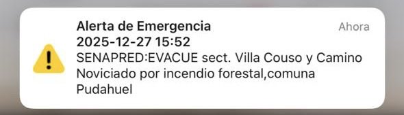 Daniel Chicahual tweet media