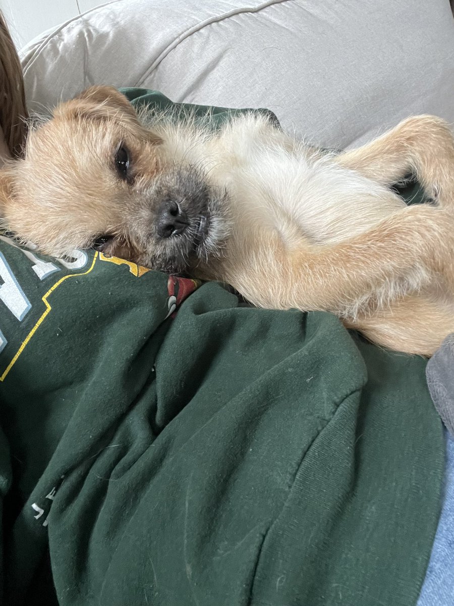 chowder94's tweet image. she’s so cute