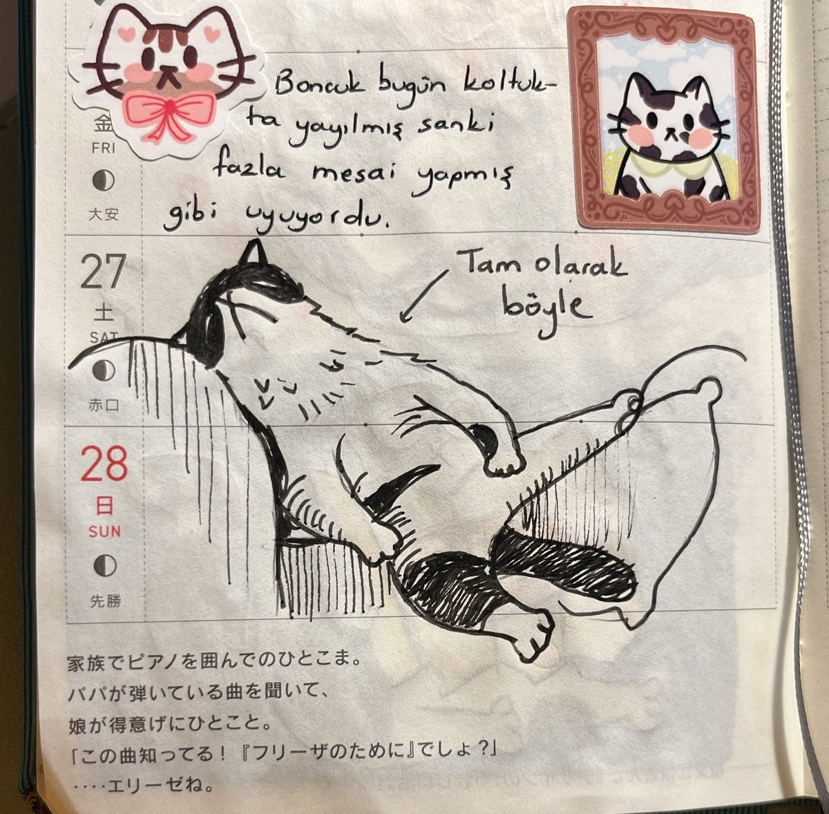 DailyBoncuk's tweet image. 