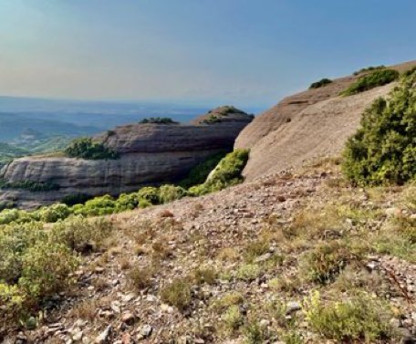 Equip de Biologia de la Conservació - UB tweet media