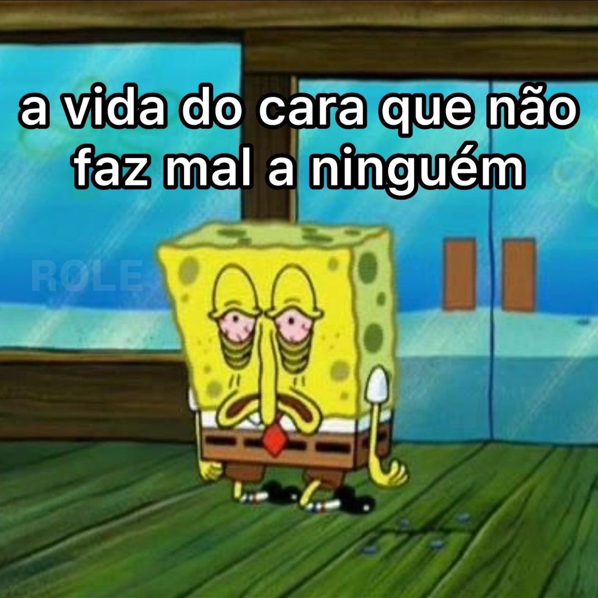 shitpostverdade's tweet image. 