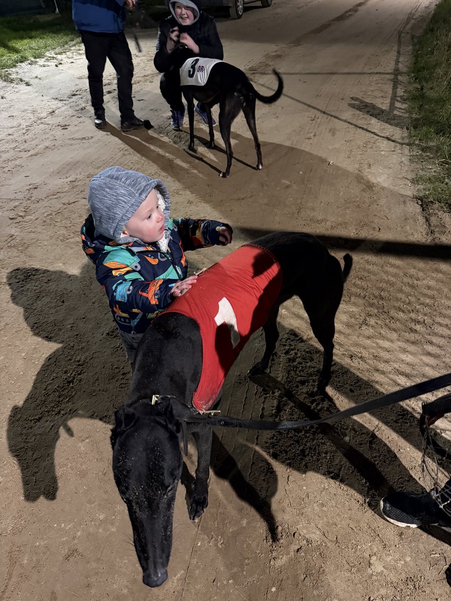 Josh Sealey tweet media