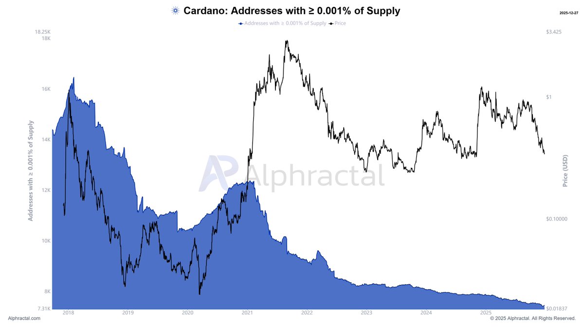 Max Research tweet media