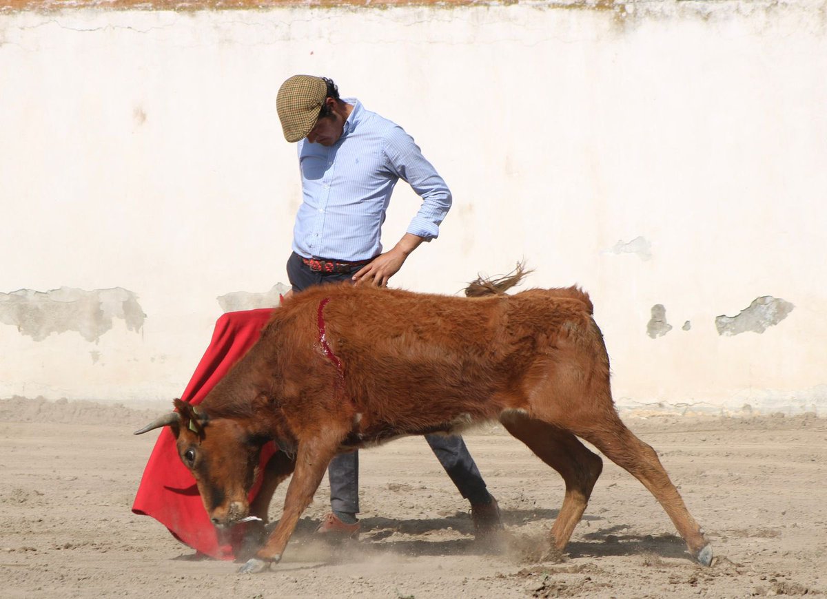 Joaquin Angelino de Arriaga tweet media