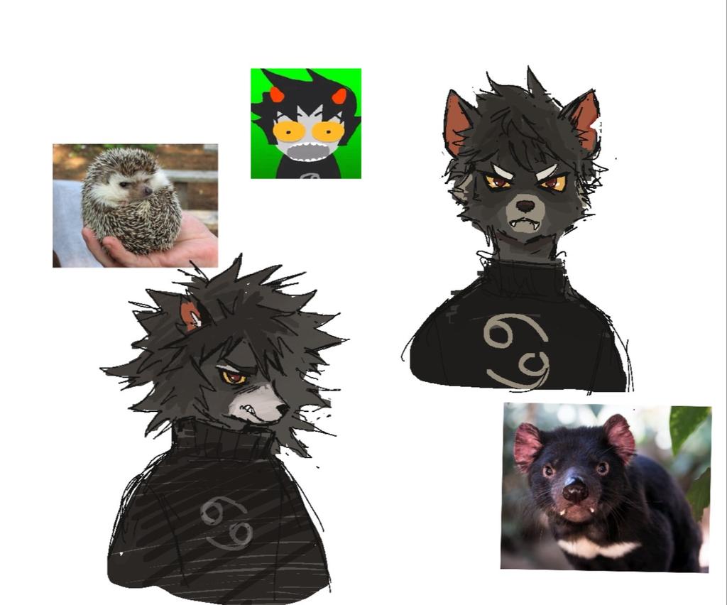 filo4ka666's tweet image. furry buddies eh. dunno what animal fits karkat more 
#homestuck
