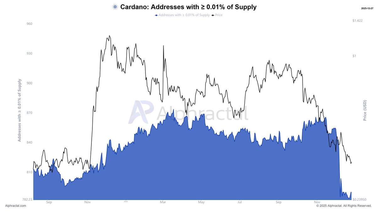 Max Research tweet media