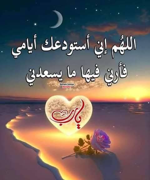 <a href="/Sahraachannel/">قناة الصحراء</a> الإجابة : 

جميع ماسبق ✅

<a href="/Sahraachannel/">قناة الصحراء</a> 
،
،
،
،
،

،
،
،
،

🐪

،
،
،
يارب فرحة تسعد قلبي 💙💙
،
،
،
،
،
،
،
،
،
،
،

،

،

🐪
،
،

،
،
،
،

🐪
🐪

.
🐪

.
🐪

🐪

.

.
.
#مجلس_الصياهد 
#منقية_النائلات 
#سيحة_البال 
.
.
.،…يارب 🤲💙