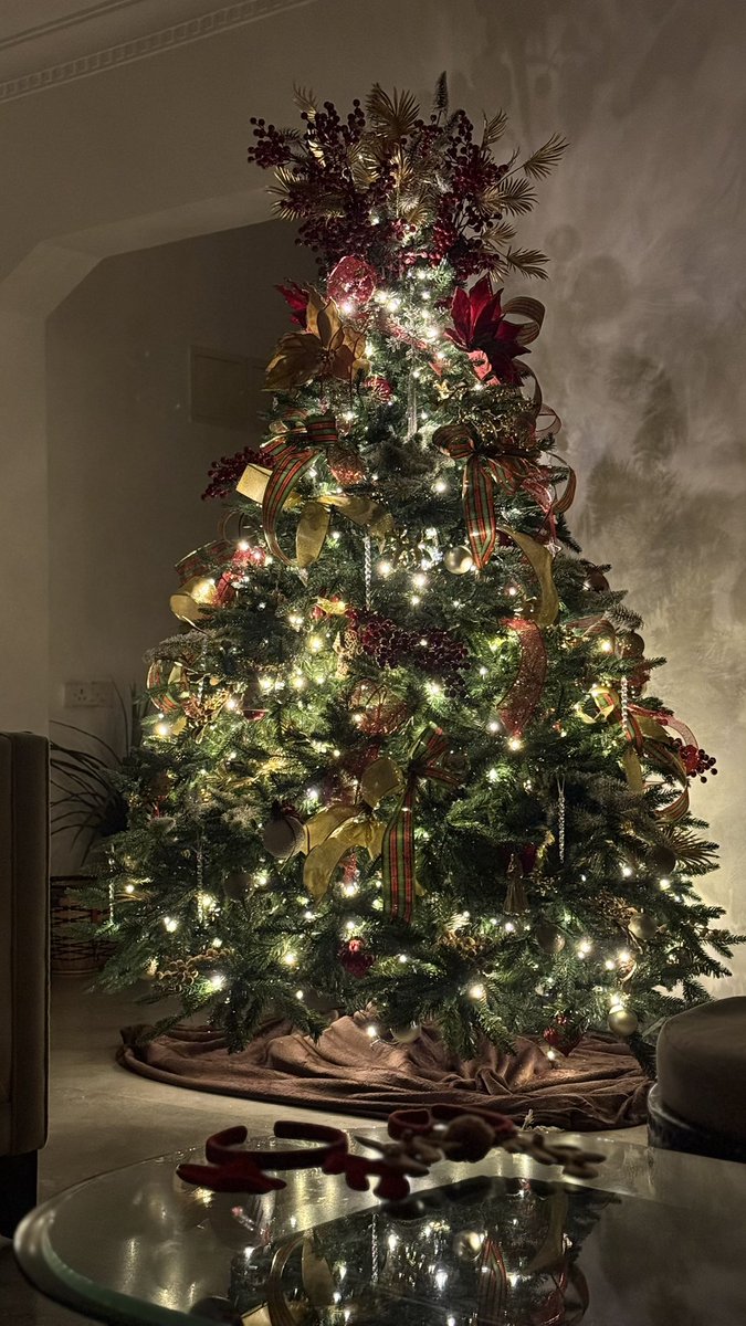 vidhisn's tweet photo. Our first Christmas tree ✨🎄 https://t.co/tdYL50IfzR