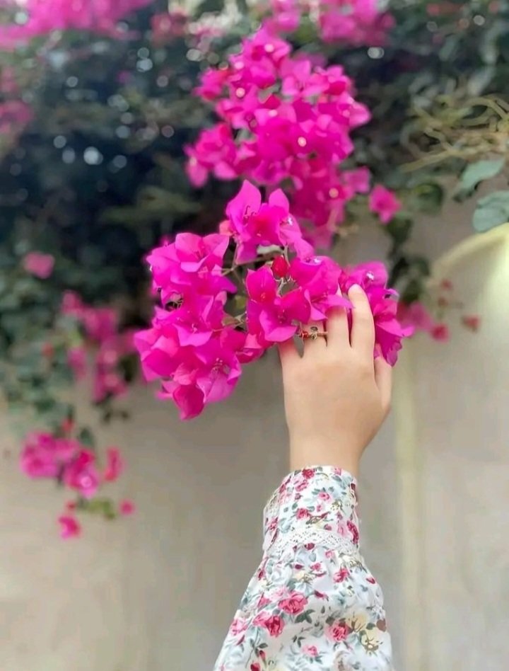 حٍوُرٍ 🇯🇴 🇯🇴♡ ᴬᴵᴴᴸᴬᴬ ᴰᵁᴷᵀᵁᴿᵁᴴ♡الُعٍيَن tweet media