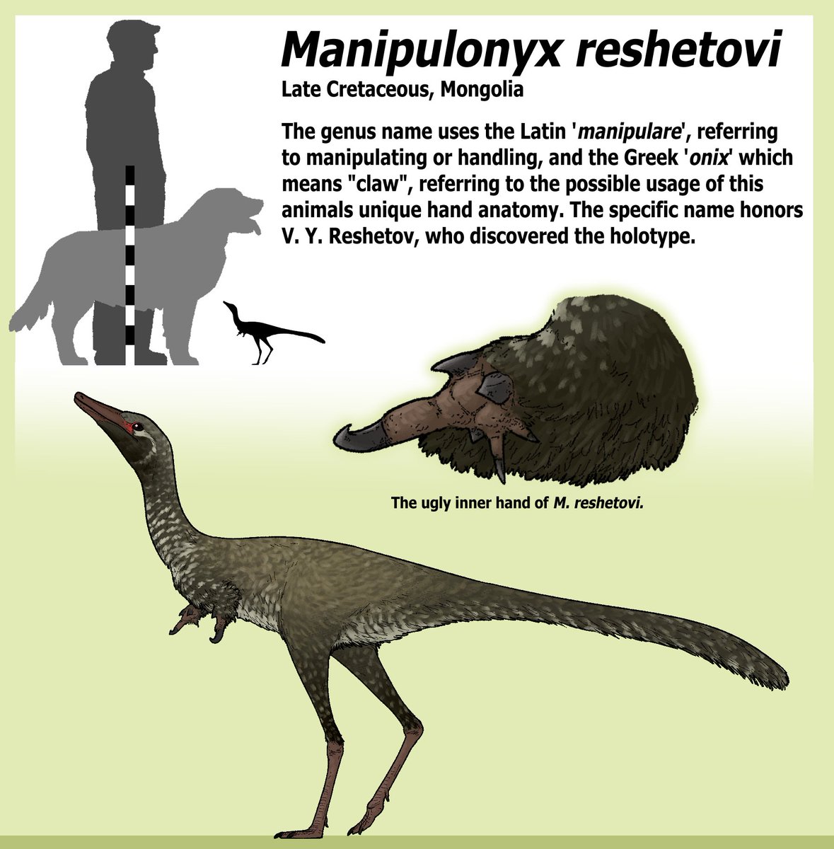 what is this, some kind of micro raptor