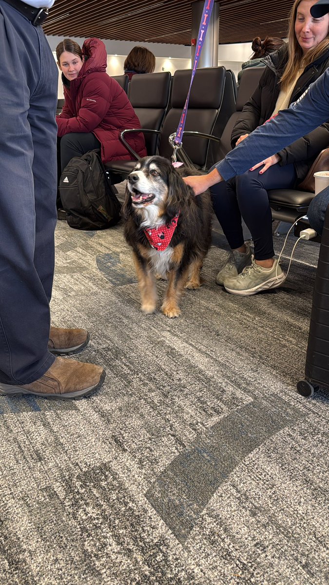 Deborah C. Payne tweet media