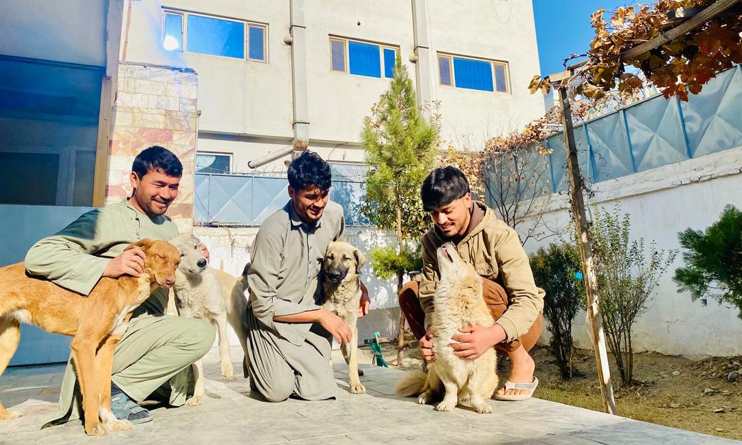 KSARshelter's tweet image. **Donations made through My Giving Circle this month will all be allocated to salaries! 
We have 110 full time staff here at KSAR, including veterinary teams that run two 24/7 clinics and caretaking teams that keep our 400 residents of companion animals, livestock, equines, and…