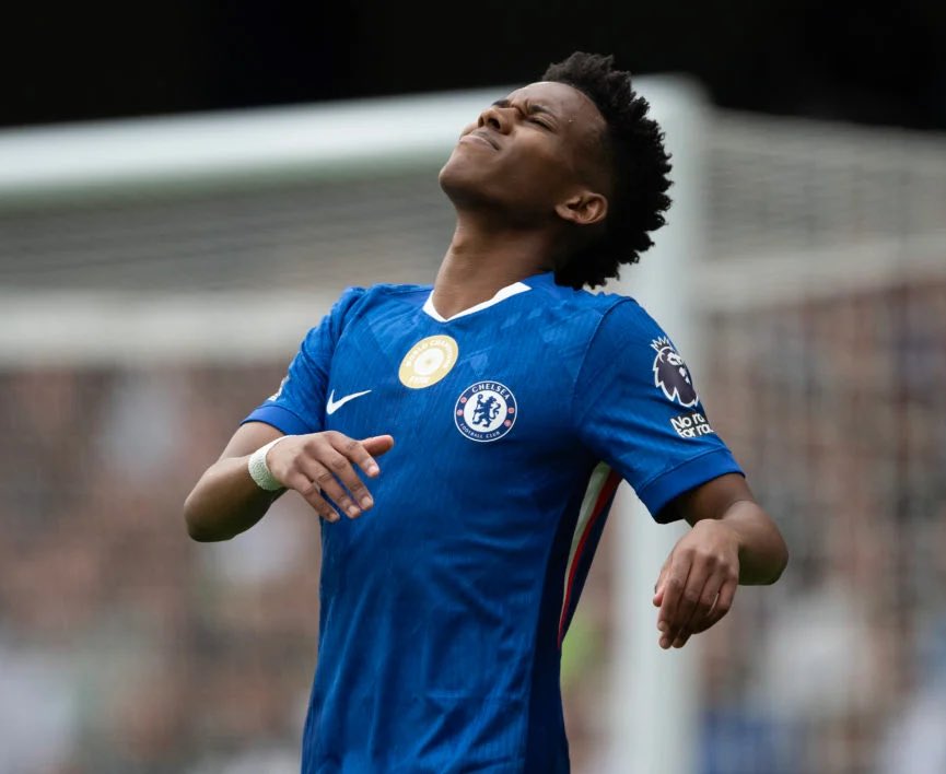 Berneese tweet media