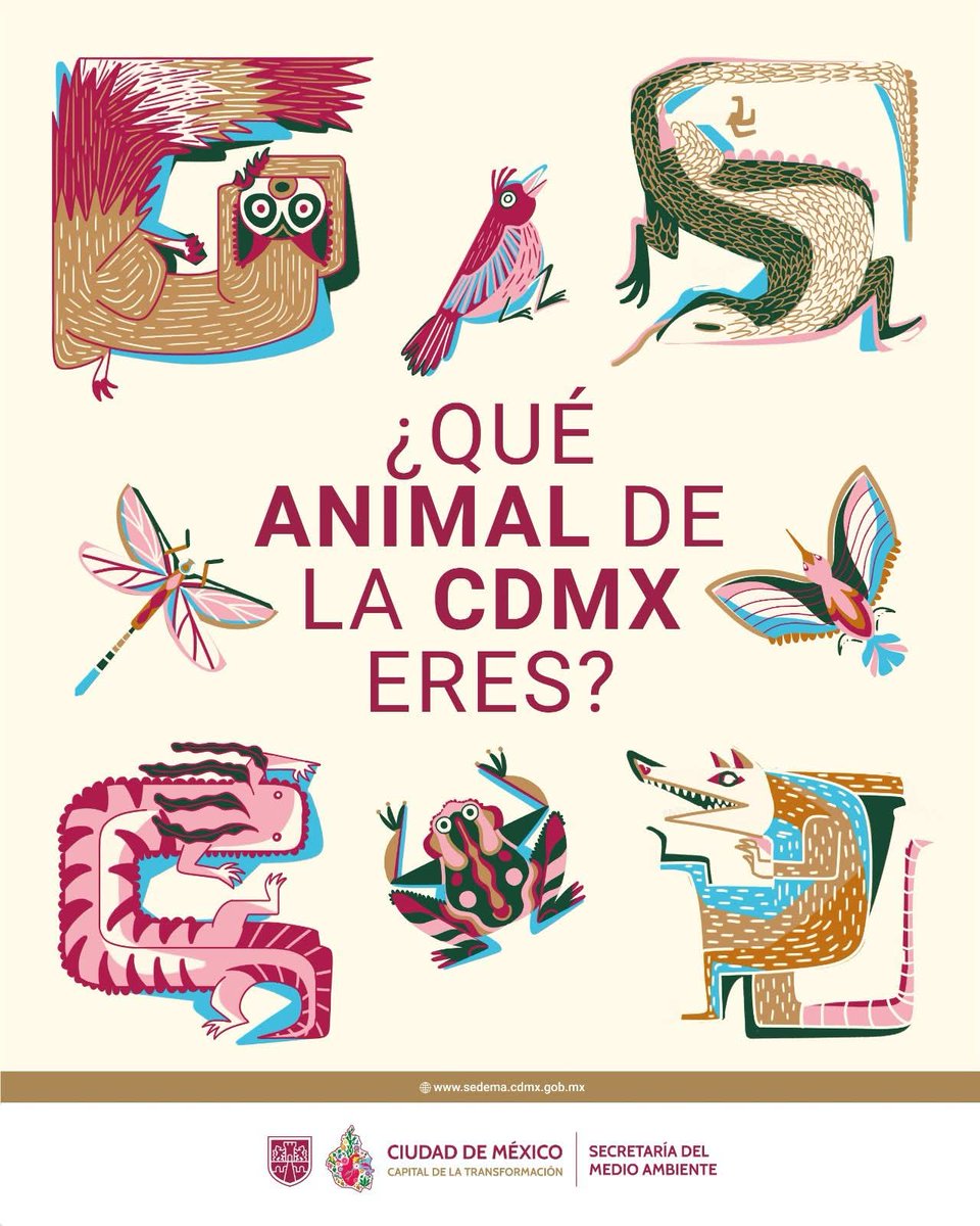 SEDEMA_CDMX's tweet photo. ¿Con qué animal de la Ciudad de México te identificas más? 
La ciudad alberga una biodiversidad única que habita en barrancas, humedales, bosques y áreas verdes. ¡Cuéntanos en los comentarios cuál representa mejor tu personalidad! https://t.co/4vaVDbxZSK