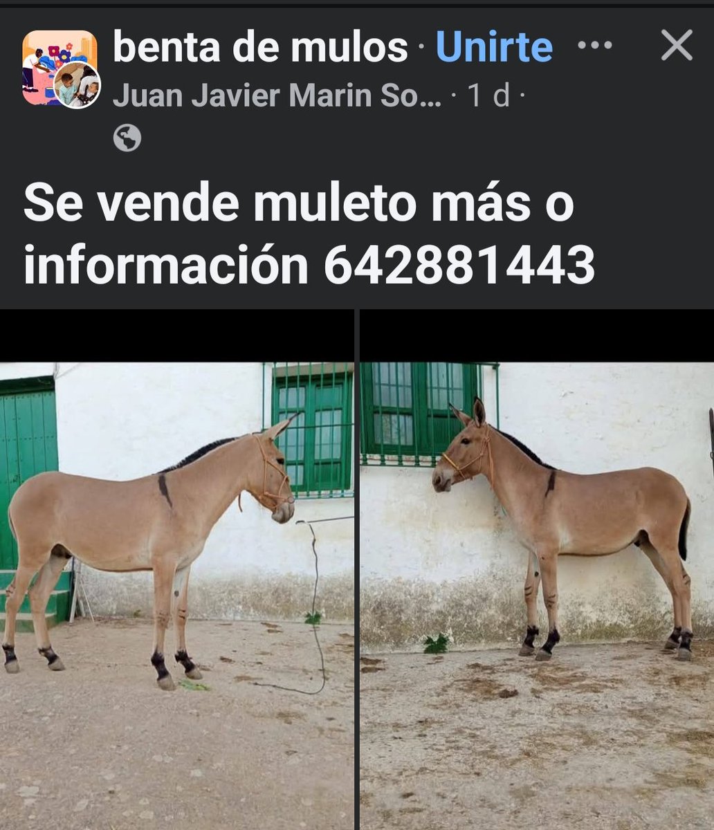 Las ganancias se inbierten en diccionarios.