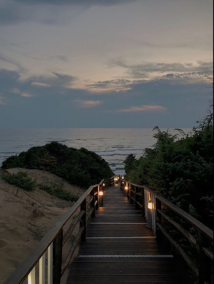 Butterflless's tweet image. 