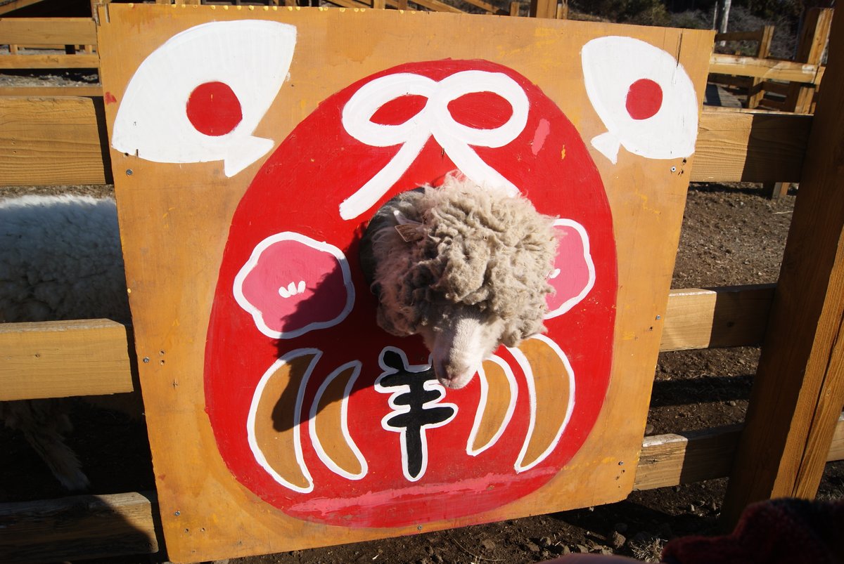 ヒツジノ/一日一羊🐏 (@Ptarmigan0606) / Posts / X