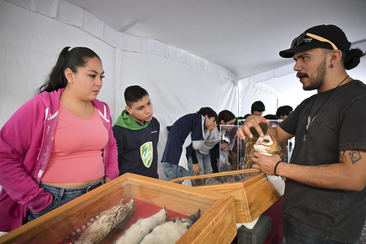 udg_oficial's tweet photo. La exposición itinerante “100 años, Mi historia es natural” del #CUSur cerró su gira 2025 con más de 5,000 visitantes. 🐦⬛🐍🦋
Una muestra única que acerca a la comunidad a la biodiversidad del occidente de México y promueve su preservación. 🌿
🔗 https://t.co/4eEq4P8Ish https://t.co/sUYetPYnDK