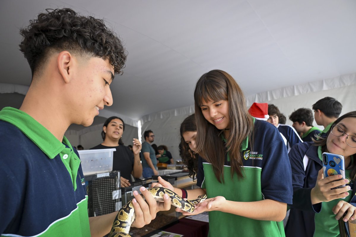 udg_oficial's tweet photo. La exposición itinerante “100 años, Mi historia es natural” del #CUSur cerró su gira 2025 con más de 5,000 visitantes. 🐦⬛🐍🦋
Una muestra única que acerca a la comunidad a la biodiversidad del occidente de México y promueve su preservación. 🌿
🔗 https://t.co/4eEq4P8Ish https://t.co/sUYetPYnDK