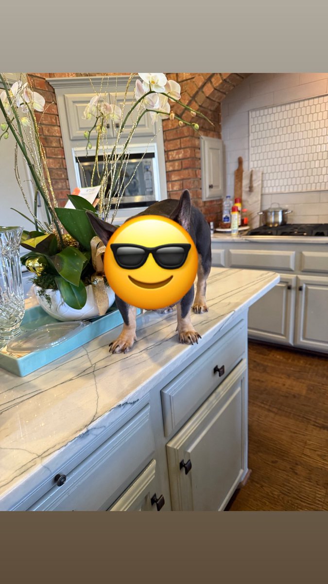 Mr. Romo Attorney at Law tweet media