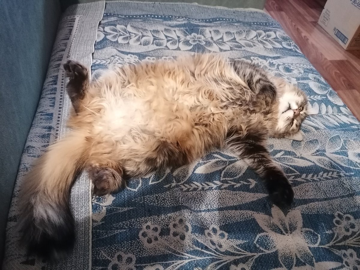 Елена tweet media