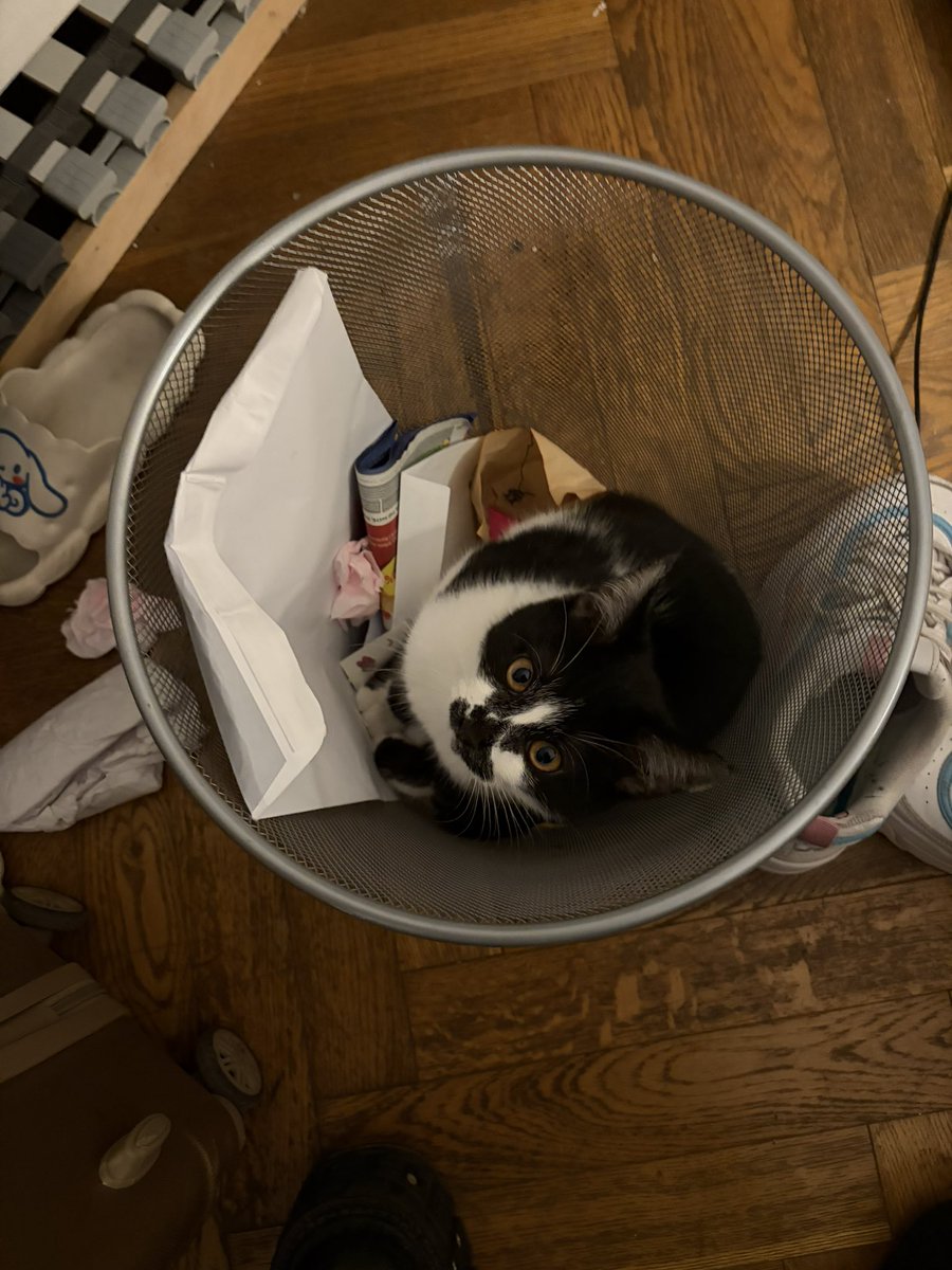 Thessa 🏳️‍⚧️ tweet media